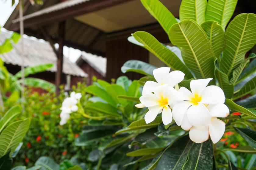 Weekender Bungalow Lamai Beach (Koh Samui) Exterior foto